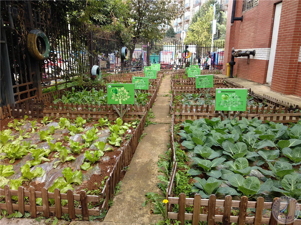 小小农场快乐无限