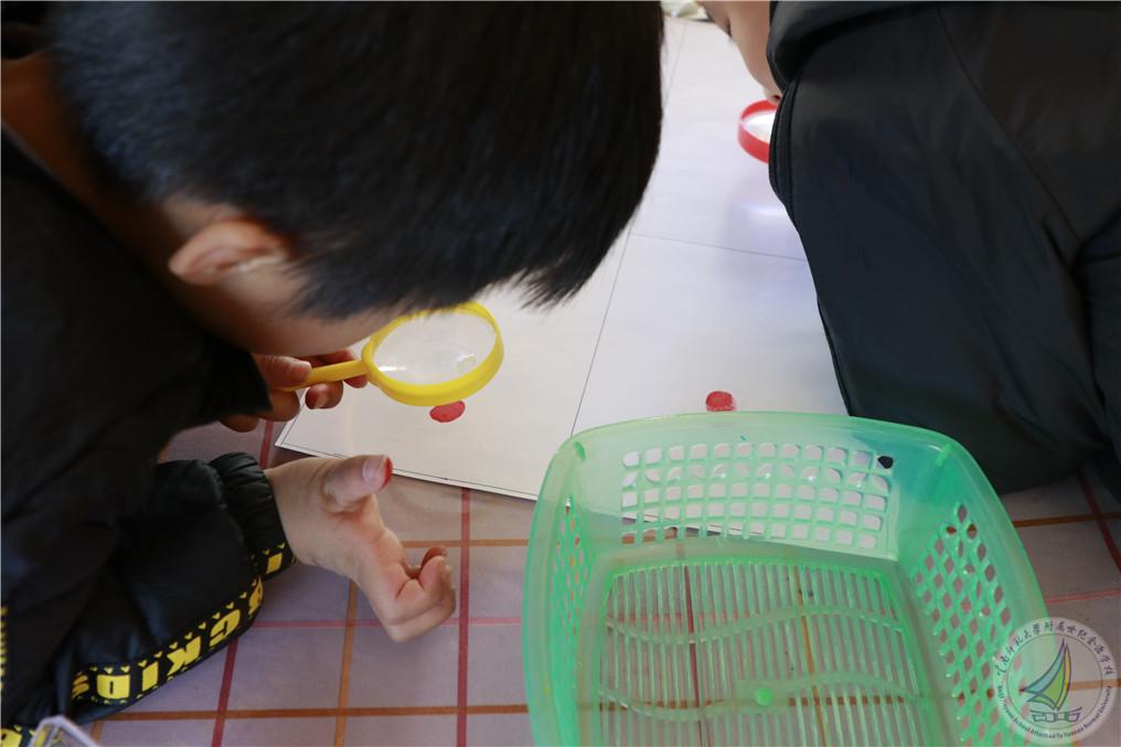 1609393099276025992.jpg 11.jpg