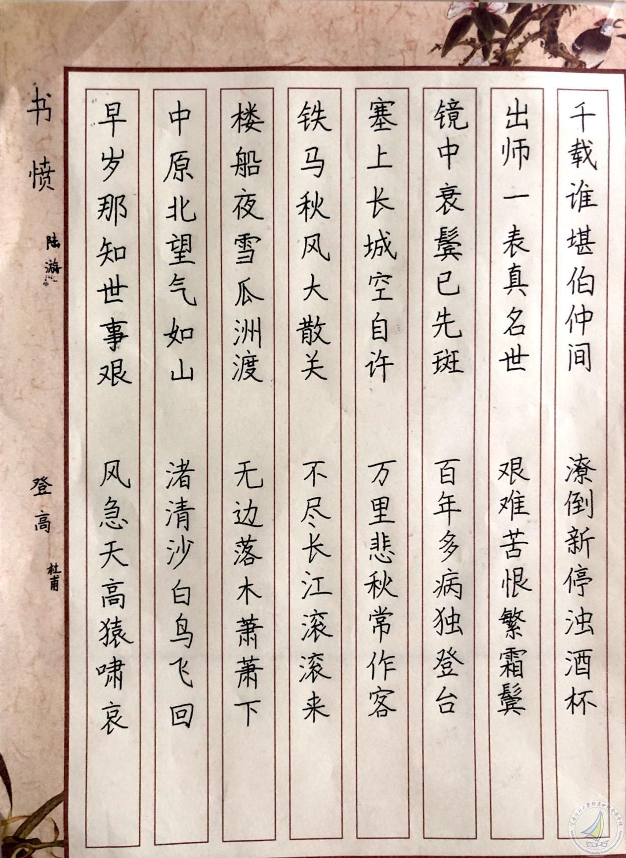 1610108026215023871.jpg 图片1_Jc.jpg