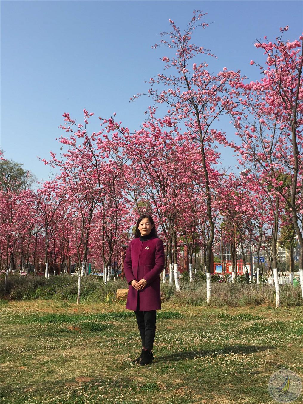 叶金梅.jpg
