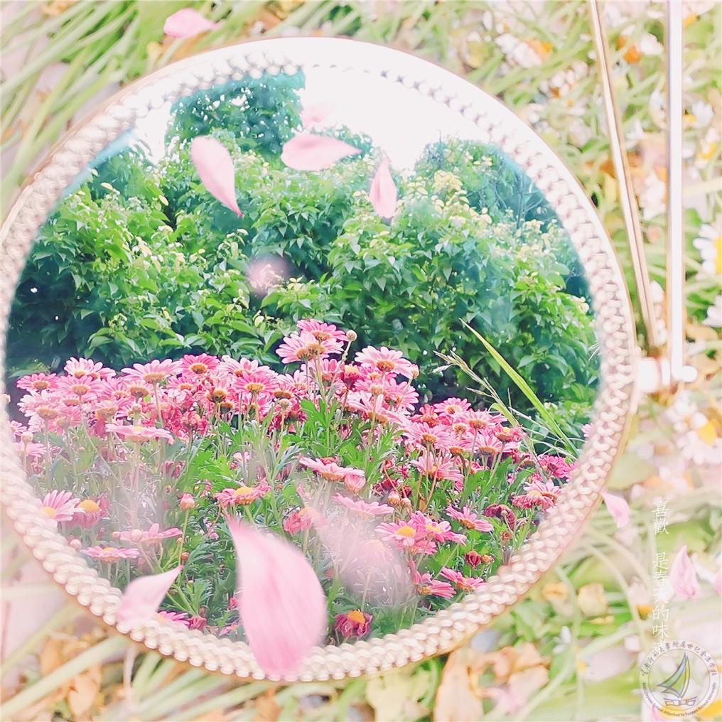 eb117f6d2f4d262e3c862befe3ab66f_副本_副本.jpg