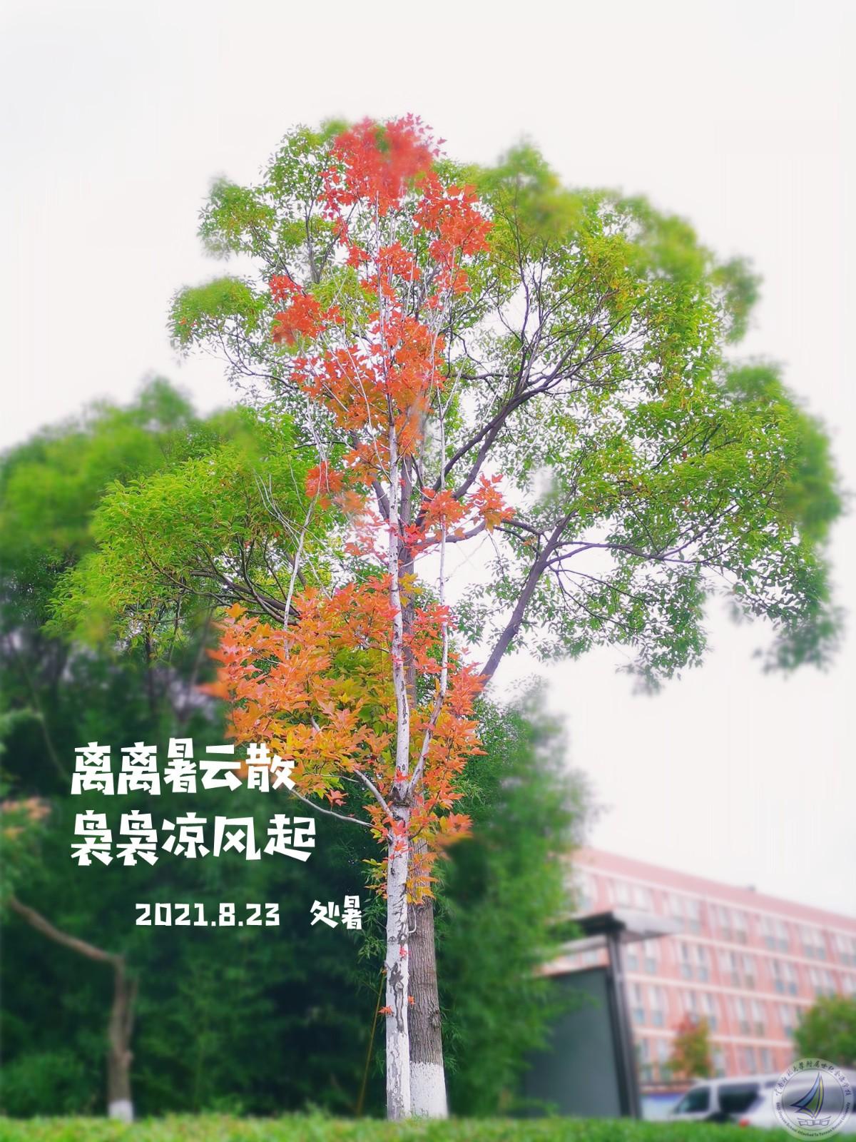 1 (5)_副本.jpg