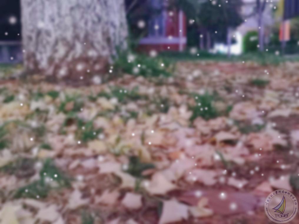 1637594438677076916.jpg 6463e1daa3dd8d5064e2afbcc0fadd5_副本_副本.jpg