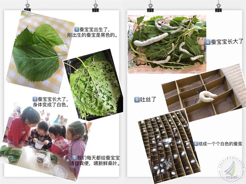 图10.jpg