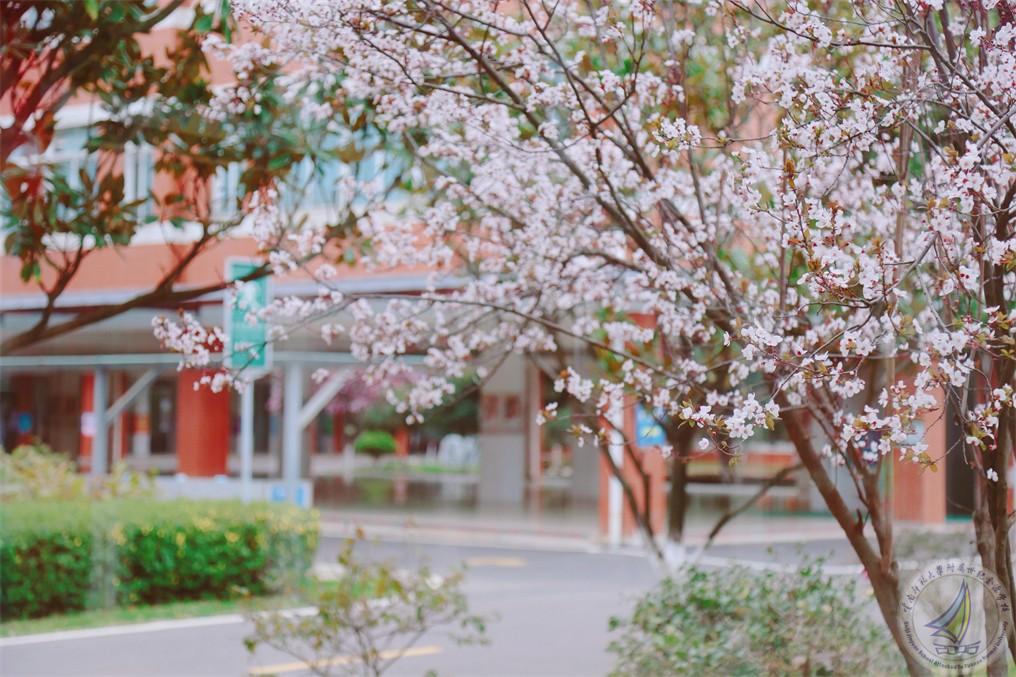 567A0886_副本.jpg