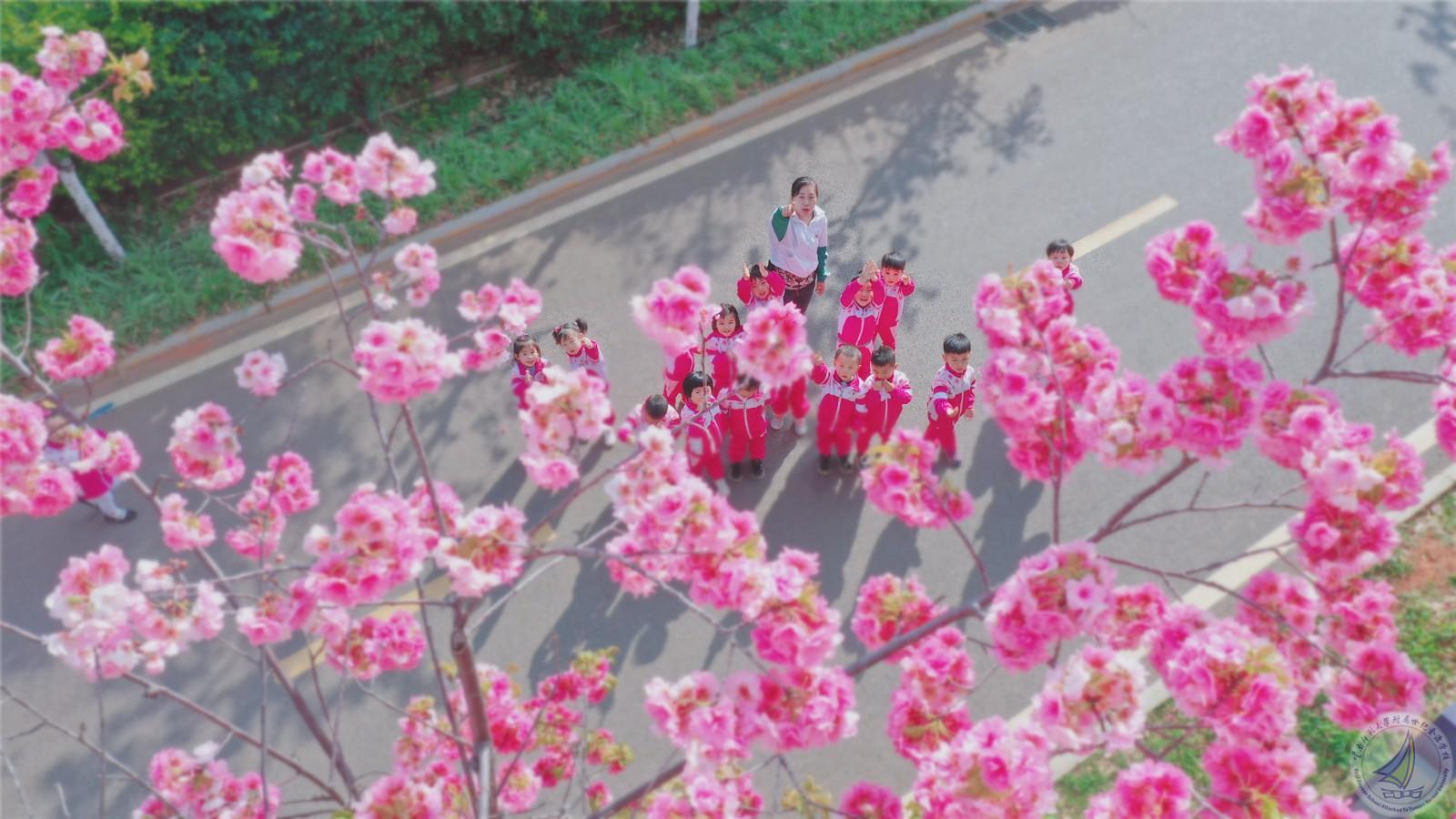 1726277621534073360.jpg 2.jpg