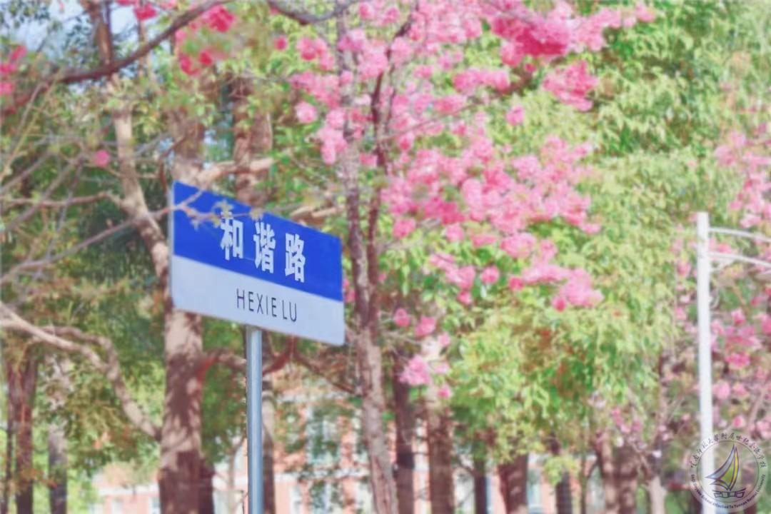 1726277638597035214.jpg 微信图片_20230714221325.jpg