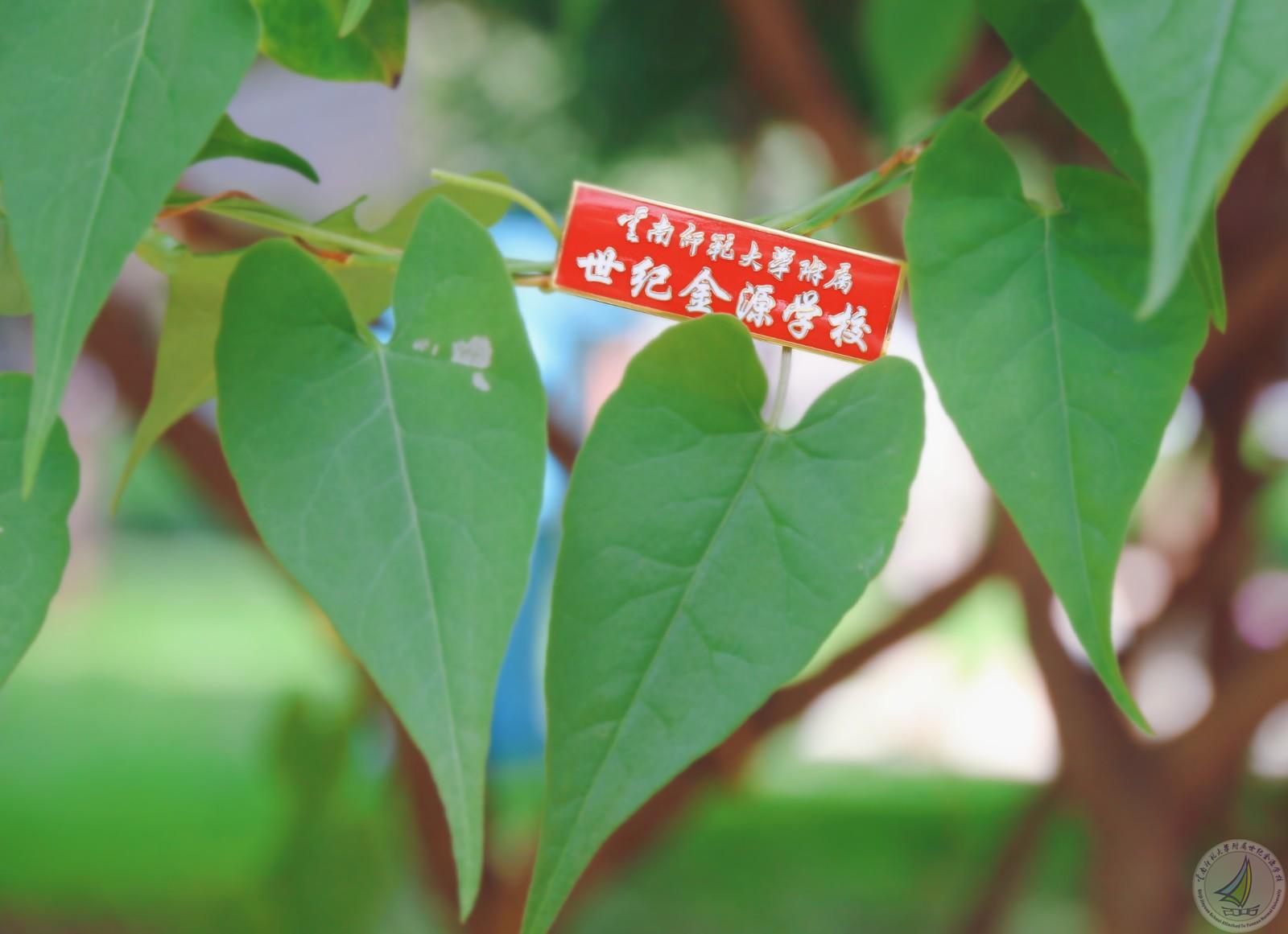 1726802716052083560.jpg IMG_7881.jpg