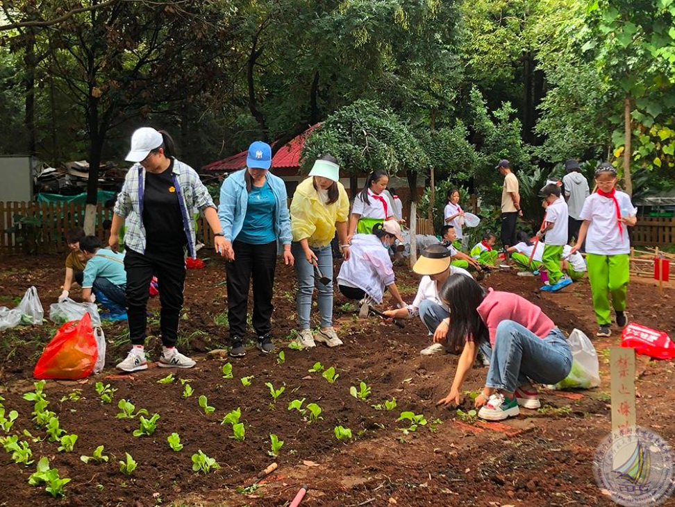 1734434338731008382.png 企业微信截图_17344230581273.png