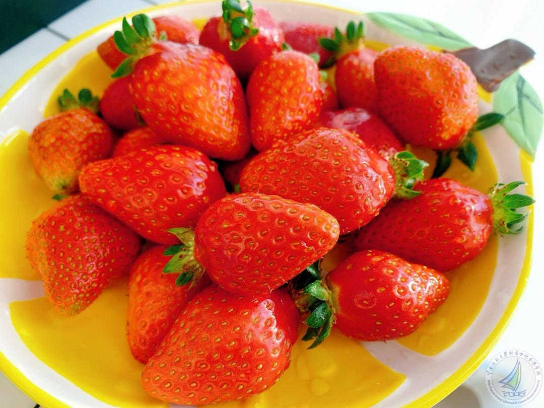 1760687949097056923.jpg 1.jpg