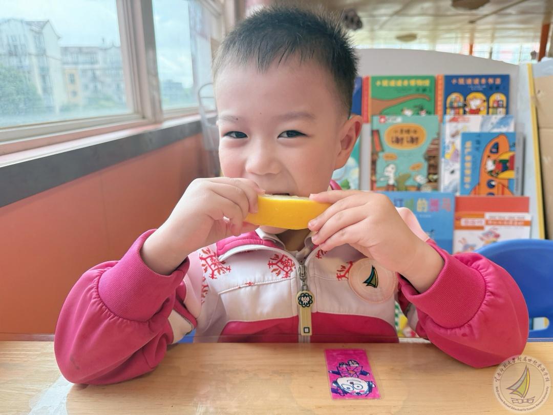 1760687968128034228.jpg 4.jpg