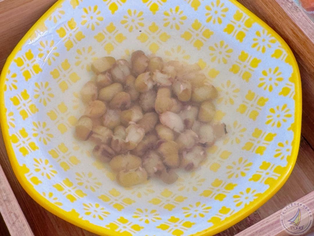 1760688248620070276.jpg 18.jpg